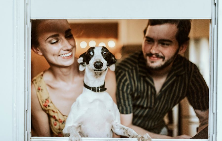 Must-have dog accessories